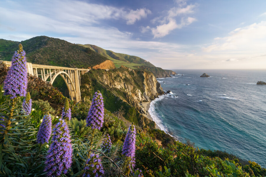 Pacific Coast Highway Road Trip